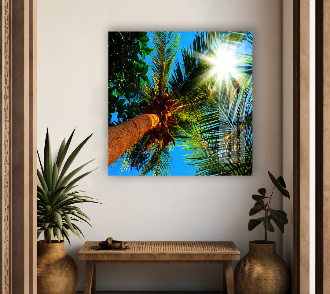 Palm Trees On A Sunny Glass Wall Art custom glass photo prints, large glass prints