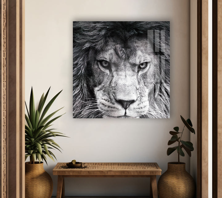 Gray Lion Animal Glass Wall Art glass art painting, glass art for the Wall