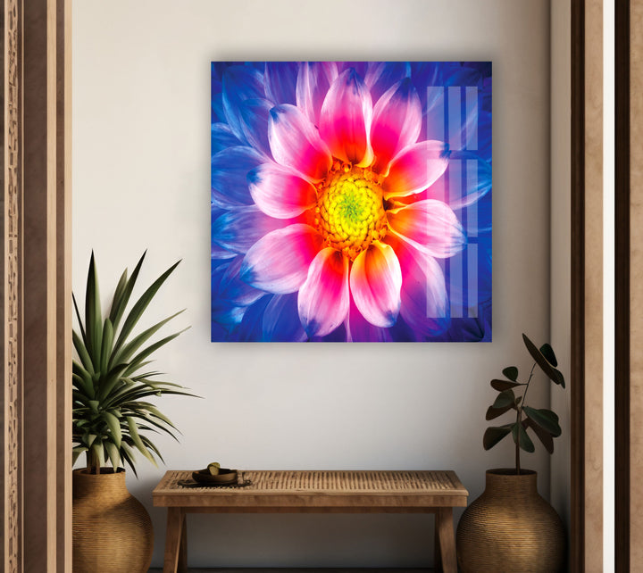 Colorful Chrysanthemum Flower Glass Wall Art, glass photo prints, glass picture prints