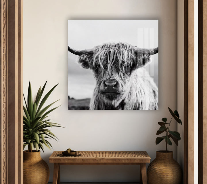 Scottish Cow Glass Wall Art custom glass pictures, glass art prints