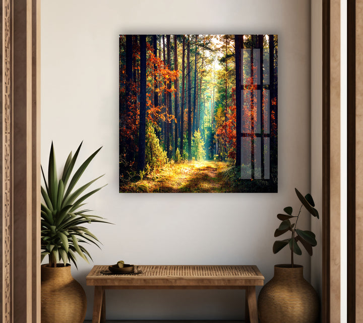 Nature Green Forest Glass Wall Art Glass Printing Wall Art, Print photos on glass