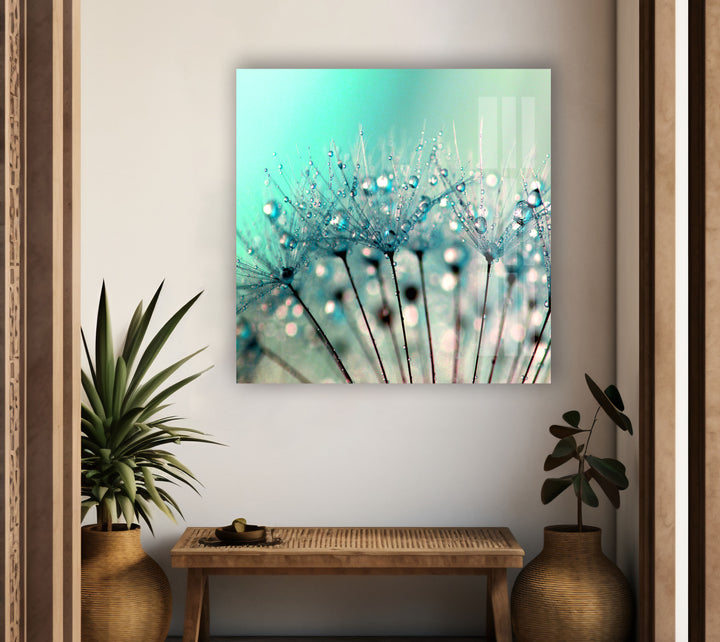 Drops On A Dandelion Glass Wall Art, custom glass pictures, glass art prints