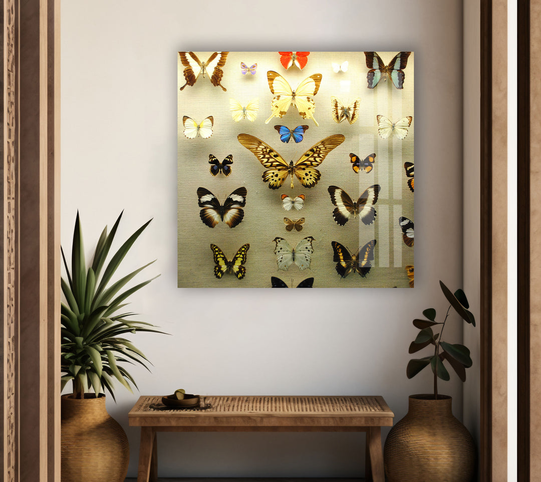 Butterfly Collection Glass Wall Art art glass wall art, glass wall art pictures