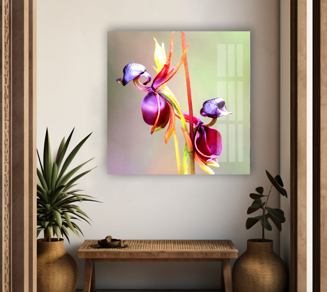 Flying Duck Orchid Glass Wall Art, Glass Printing Wall Art, Print photos on glass