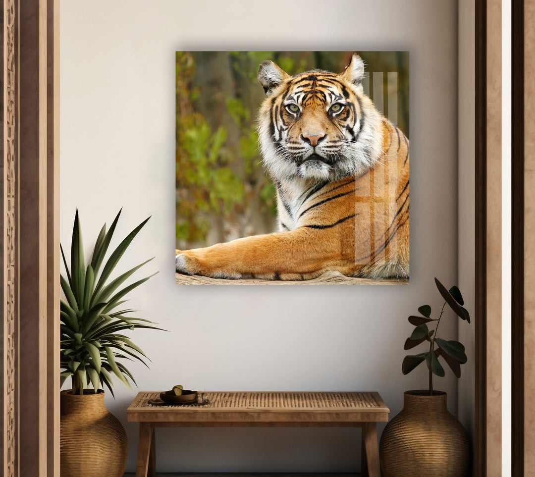 Tiger View Glass Wall Art stained glass wall art, stained glass wall decor