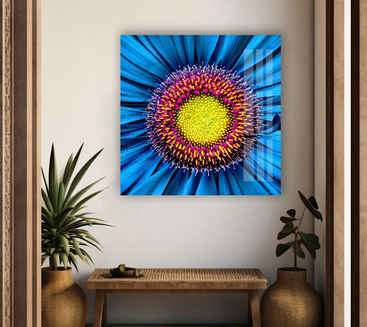 Close Up Gerbera Flower Glass Wall Art, Glass Printing Wall Art, Print photos on glass