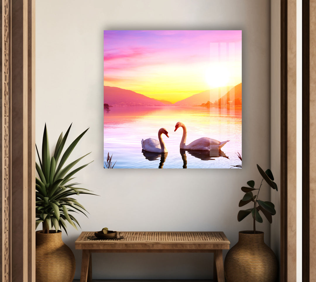 Swan Sunset Glass Wall Art custom glass photo prints, large glass prints