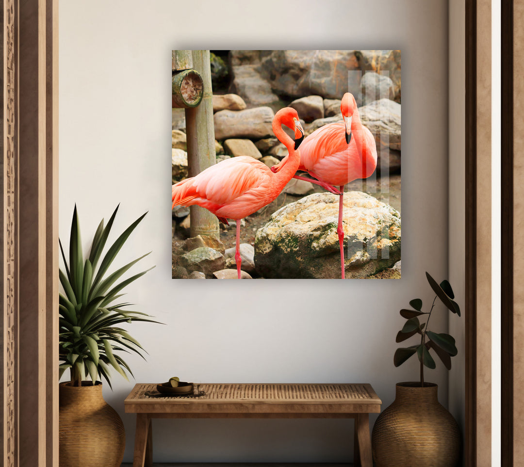 American Flamingo Glass Wall Art print on glass, glass printed photos