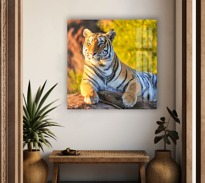 Tiger on The Rock Glass Wall Art             glass wall decor, glass wall art decor