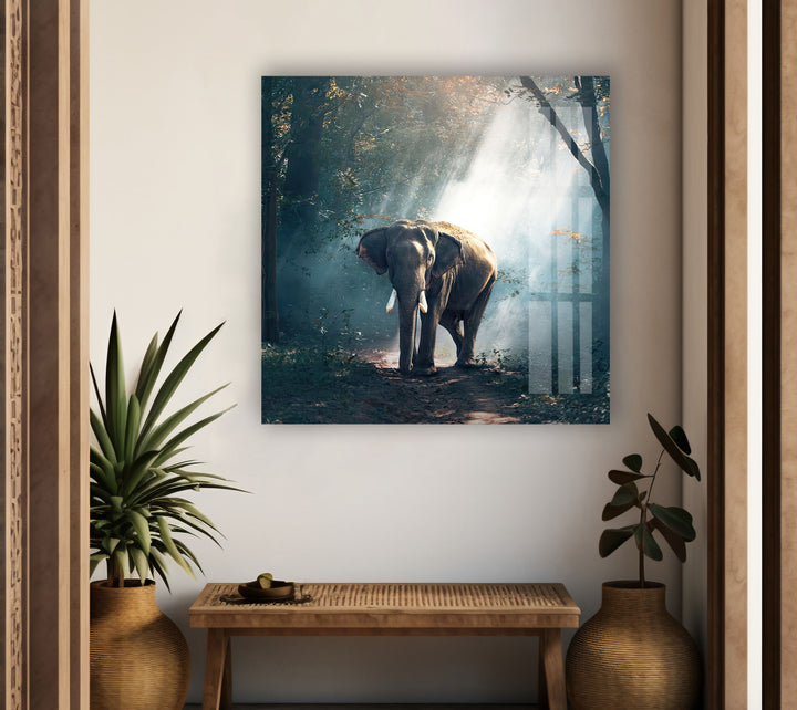 Elephant Tempered Glass Wall Art - MyPhotoStation