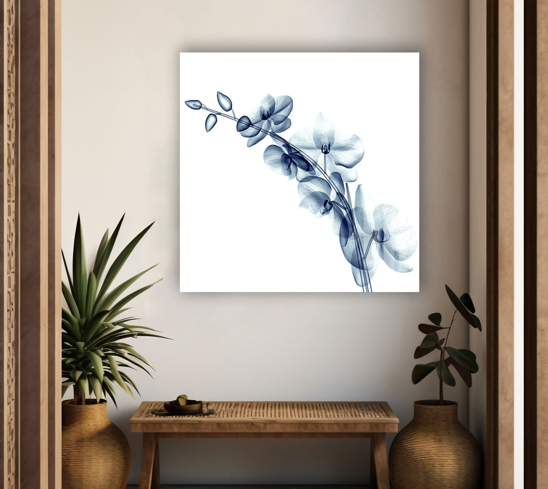 X-ray Blue Orchide Glass Wall Art, Glass Printing Wall Art, Print photos on glass