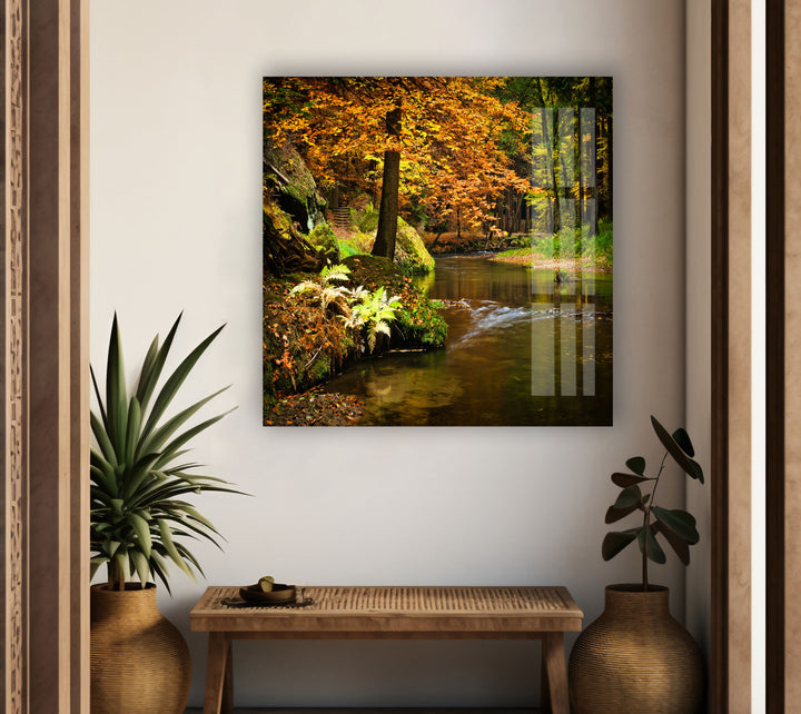 River in The Forest Glass Wall Art photo print on glass, prints on glass wall art