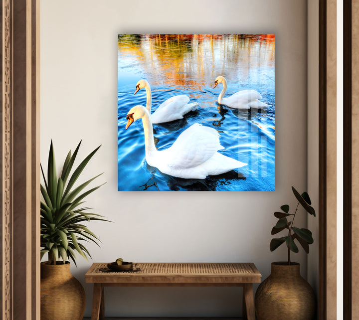 Swans on Lake Glass Wall Art custom glass pictures, glass art prints