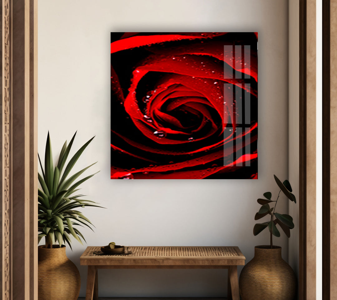 Red Rose Glass Wall Art, glass image printing, glass prints from photos