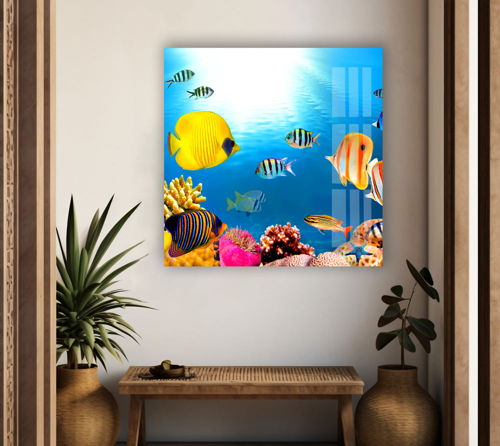 Tropical Fishes Glass Wall Art photo print on glass, prints on glass wall art