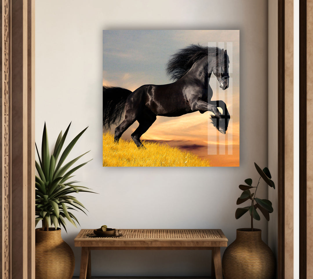 Big Black Horse Glass Wall Art custom glass pictures, glass art prints