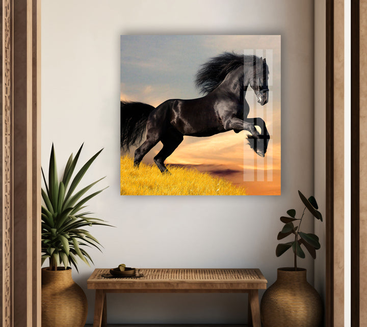 Big Black Horse Glass Wall Art custom glass pictures, glass art prints