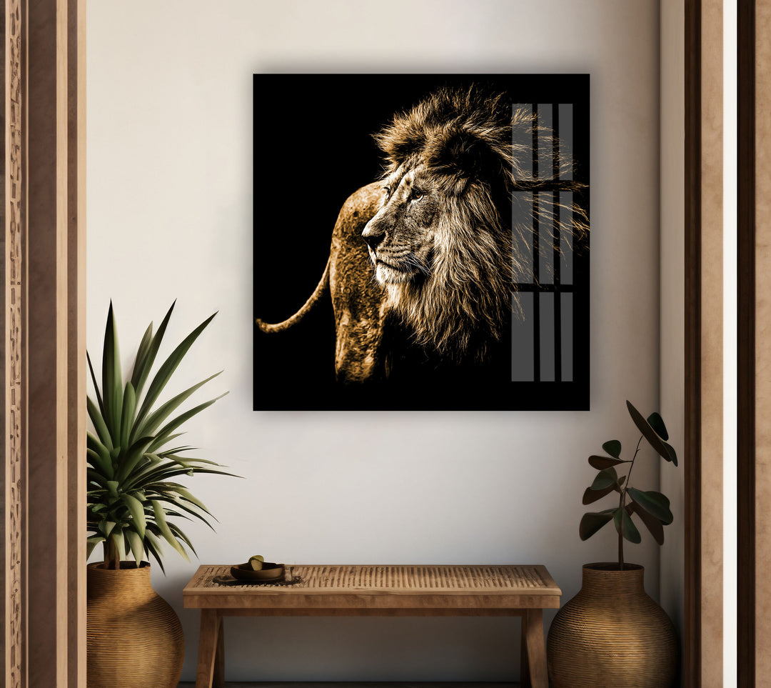 Old Wild Lion Glass Wall Art photo print on glass, prints on glass wall art