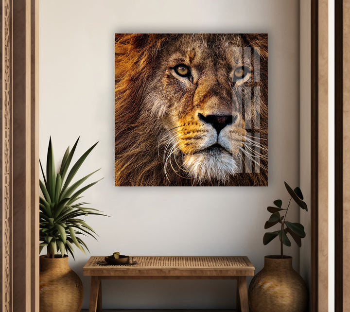 Lion Wild Life Glass Wall Art Glass Printing Wall Art, Print photos on glass