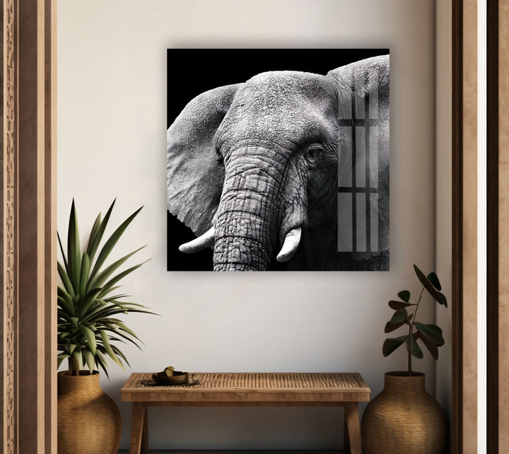 Indian Elephant Glass Wall Art picture on glass wall art, photos printed on glass