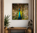 Vibrant Peacock Glass Wall Art             glass wall decor, glass wall art decor