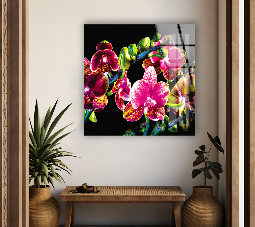 Orchid Closeup On Black Glass Wall Art, Glass Printing Wall Art, Print photos on glass
