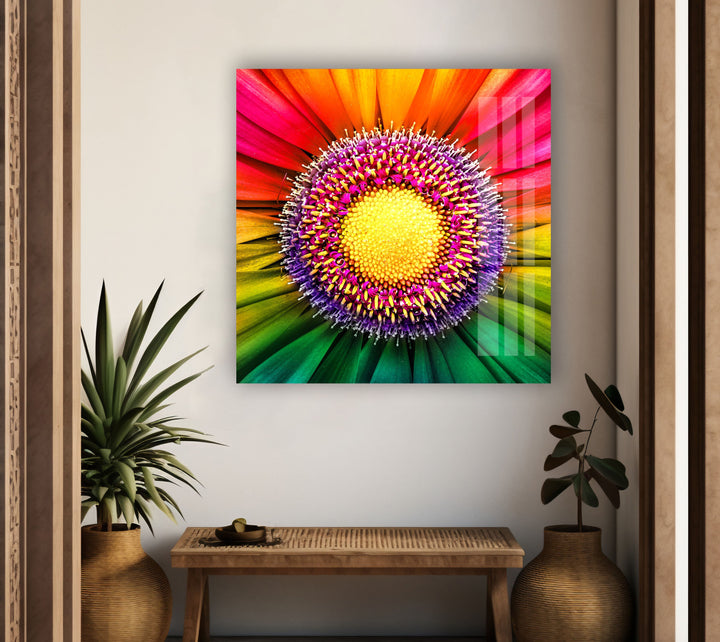 Rainbow Gerbera Flower Close Up Glass Wall Art, custom glass pictures, glass art prints