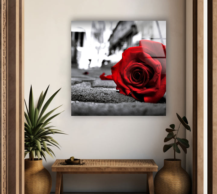 Red Rose Flower Glass Wall Art, glass photo prints, glass picture prints