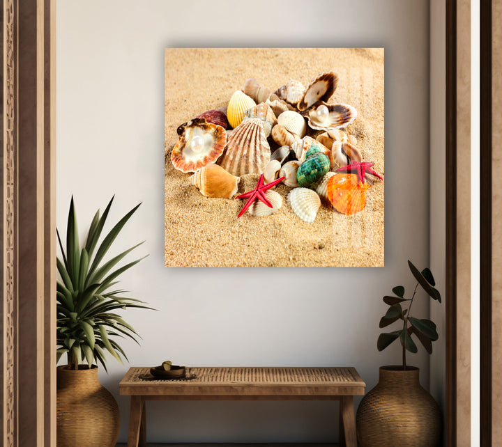 Sea Shell Beach Glass Wall Art glass image printing, glass prints from photos