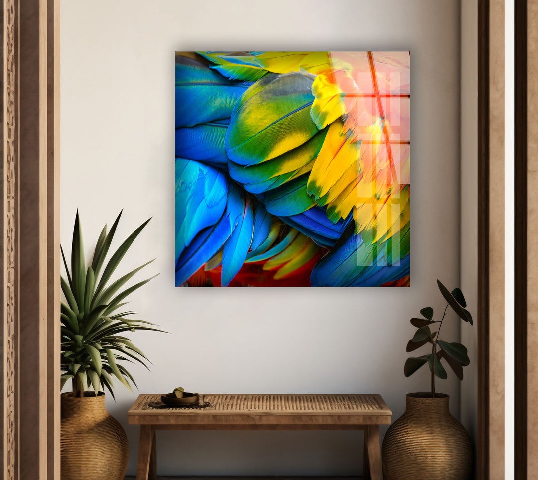 Colorful Feathers Glass Wall Art