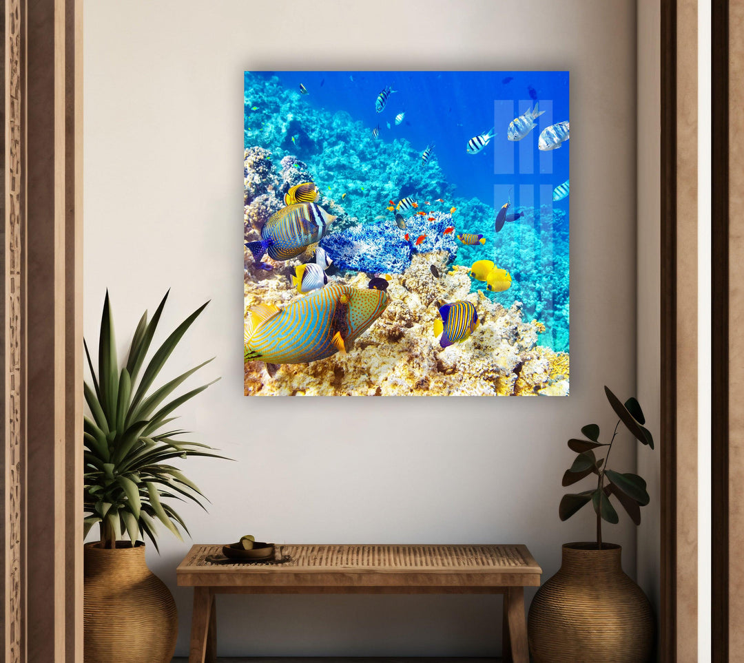 Tropical Ocean Fishes Glass Wall Art glass art painting, glass art for the Wall