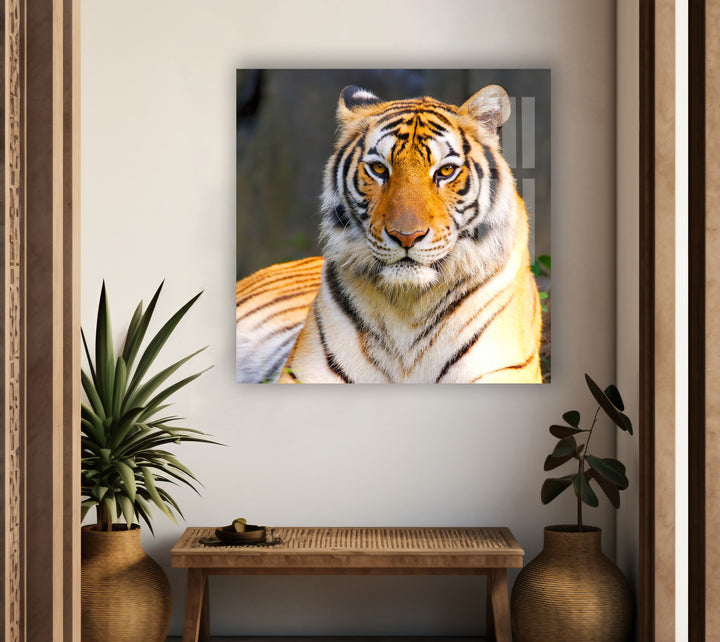 Wildlife Tiger Glass Wall Art glass art painting, glass art for the Wall