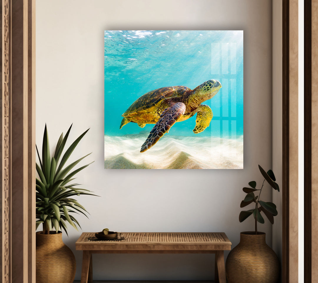 Sea Turtle Tropical Glass Wall Art custom glass pictures, glass art prints