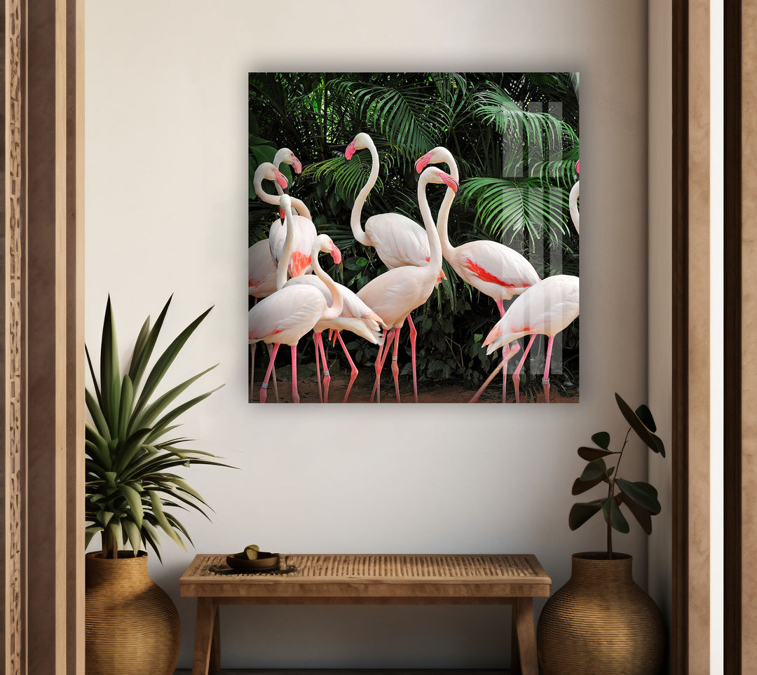 Group White Flamingos Glass Wall Art glass photo prints, glass picture prints