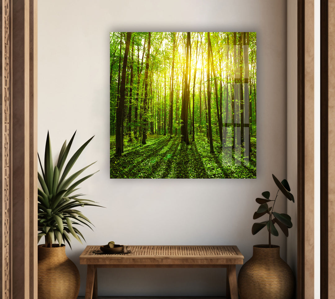 Forest Landscape Large Format Abstract Glass Art Prints