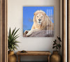 White Lion Sitting Glass Wall Art large glass photo prints, glass wall photos