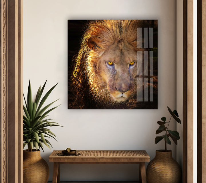 Angry Lion Glass Wall Art custom glass pictures, glass art prints