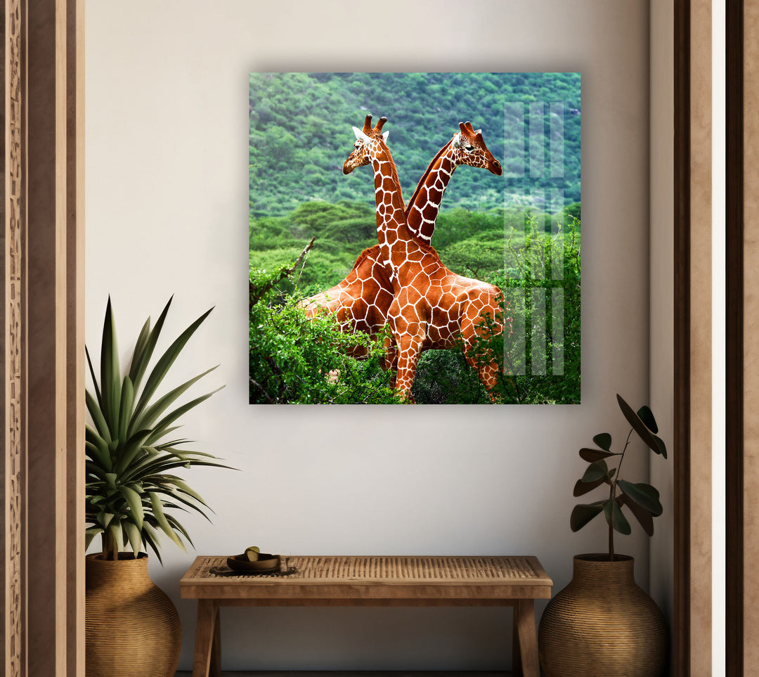 Giraffe in Forest Glass Wall Art print on glass, glass printed photos