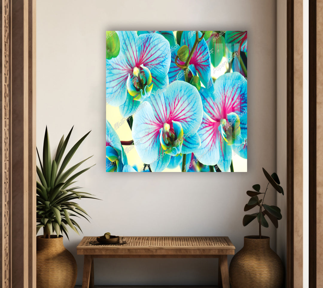 Blue & Pink Orchids Flowers Glass Wall Art, glass wall decor, glass wall art decor