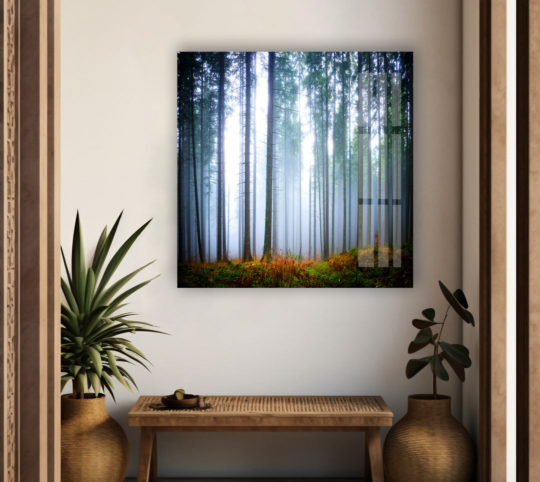 Foggy Forest Glass Wall Art