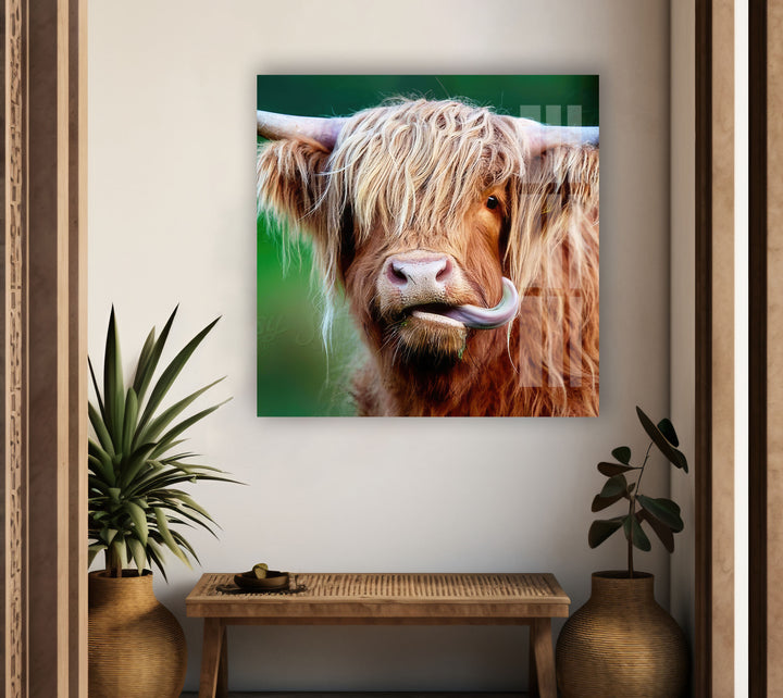 Highland Cow Glass Wall Art photo print on glass, prints on glass wall art