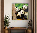 Baby Panda Tempered Glass Wall Art - MyPhotoStation