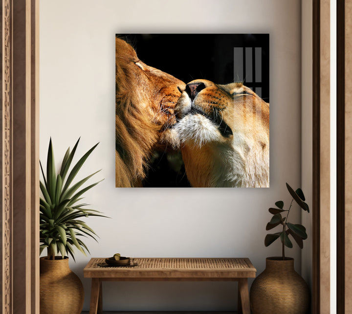 Couple Lions Glass Wall Art large glass photo prints, glass wall photos