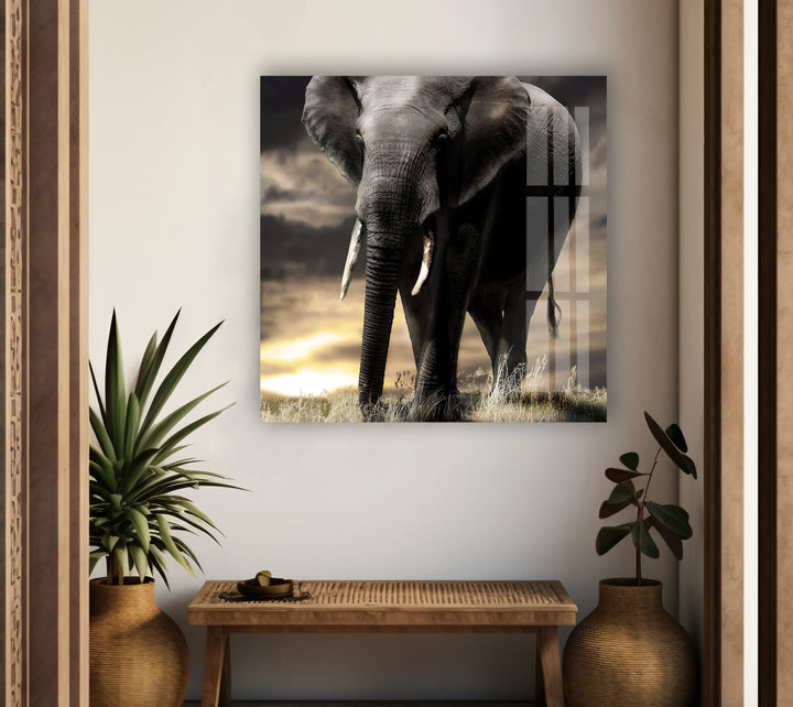 African Old Elephant Glass Wall Art             glass wall decor, glass wall art decor