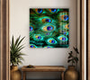 Peacock Feathers Tempered Glass Wall Art - MyPhotoStation