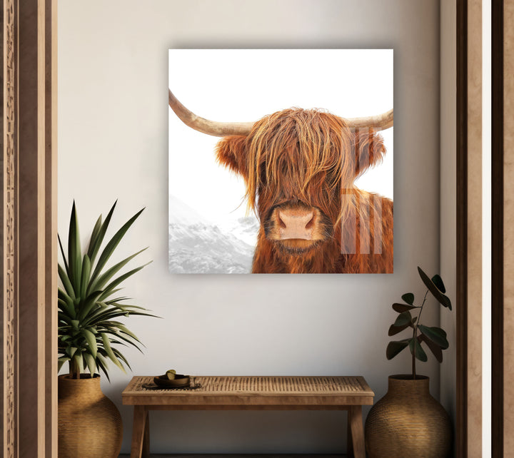 Highland Scotland Cow Glass Wall Art custom glass pictures, glass art prints