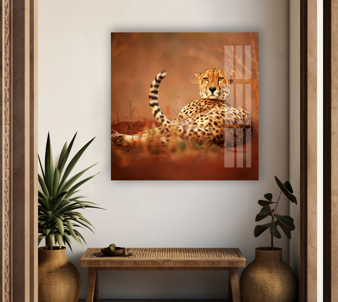 Cheetah in The Savanna Glass Wall Art stained glass wall art, stained glass wall decor