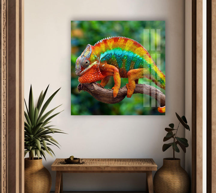 Vibrant Chameleon Glass Wall Art glass pictures for Wall, glass prints wall art