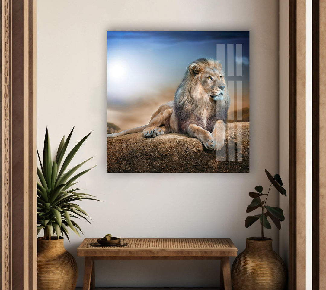 King Lion Laying Glass Wall Art print on glass, glass printed photos