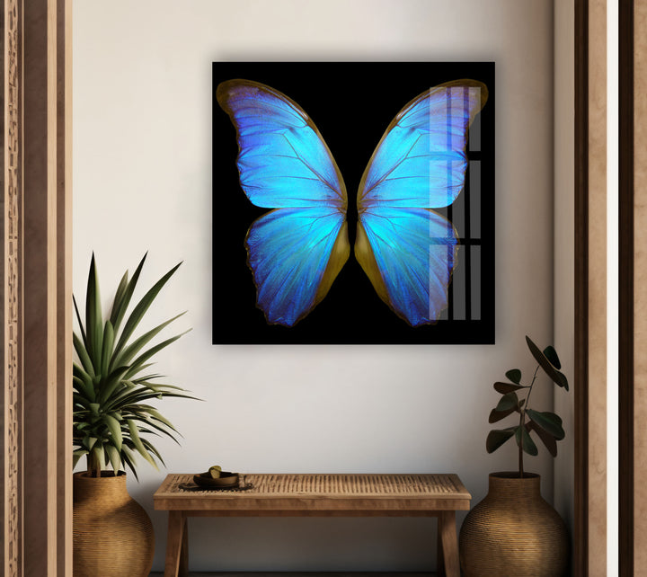 Blue Butterfly Glass Wall Art print picture on glass, Tempered Glass Wall Art